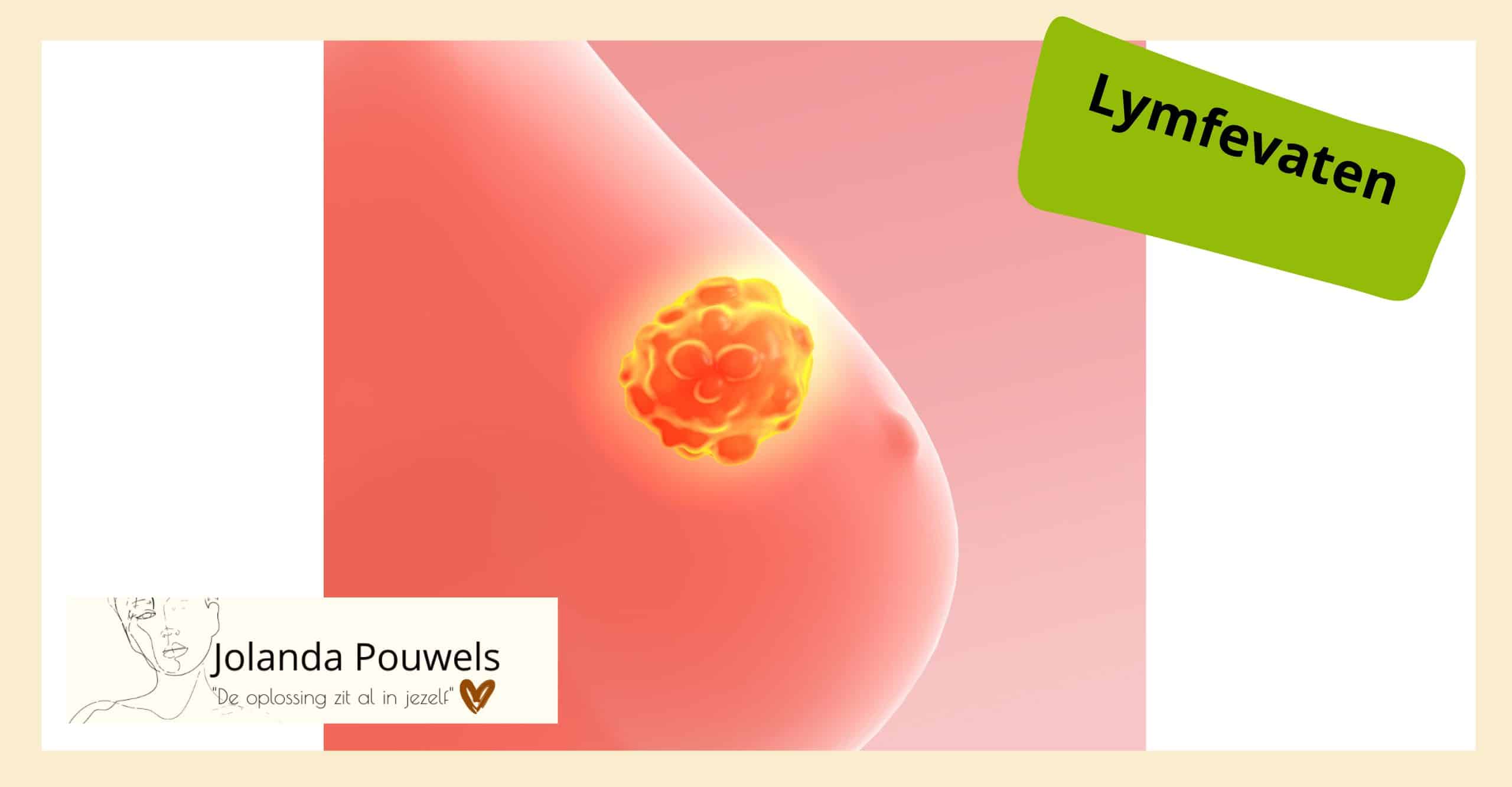 Een tekening van een roze borst van een vrouw waarin duidelijk een lymfeknoop te zien is en de lymfevaten. Rechtsboven in een groene vorm staat het woord "Lymfevaten" Linksonder is het logo met de naam "Jolanda Pouwels" en de zin "De oplossing zit al in jezelf."